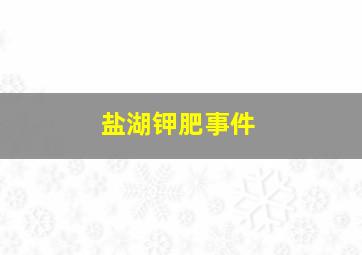 盐湖钾肥事件