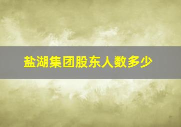 盐湖集团股东人数多少