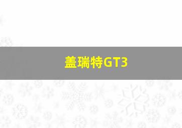 盖瑞特GT3