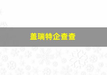 盖瑞特企查查