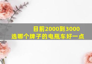 目前2000到3000选哪个牌子的电瓶车好一点