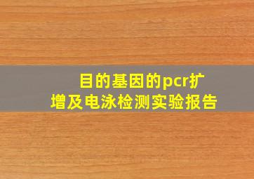 目的基因的pcr扩增及电泳检测实验报告