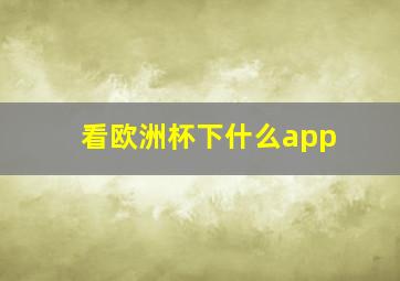 看欧洲杯下什么app