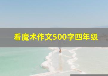 看魔术作文500字四年级