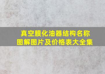 真空膜化油器结构名称图解图片及价格表大全集