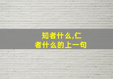 知者什么,仁者什么的上一句