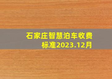 石家庄智慧泊车收费标准2023.12月