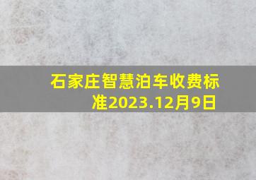 石家庄智慧泊车收费标准2023.12月9日