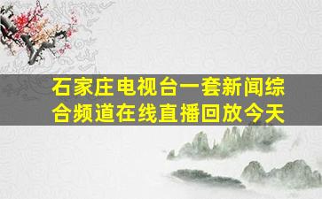 石家庄电视台一套新闻综合频道在线直播回放今天