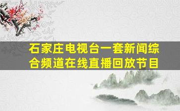 石家庄电视台一套新闻综合频道在线直播回放节目