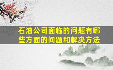 石油公司面临的问题有哪些方面的问题和解决方法