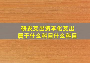 研发支出资本化支出属于什么科目什么科目