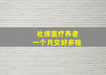 社保医疗养老一个月交好多钱