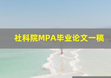 社科院MPA毕业论文一稿