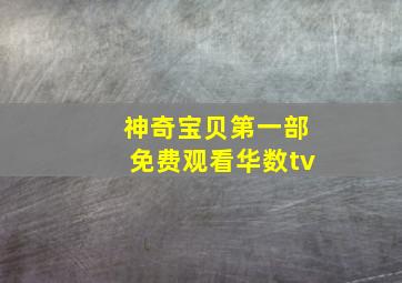 神奇宝贝第一部免费观看华数tv