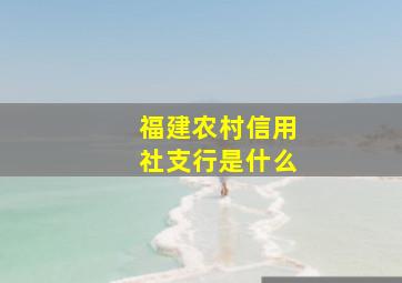 福建农村信用社支行是什么