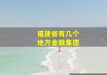 福建省有几个地方金融集团