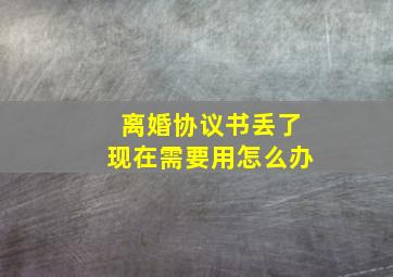 离婚协议书丢了现在需要用怎么办