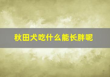 秋田犬吃什么能长胖呢