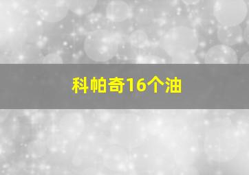 科帕奇16个油