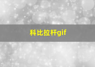 科比拉杆gif