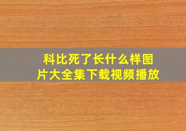 科比死了长什么样图片大全集下载视频播放