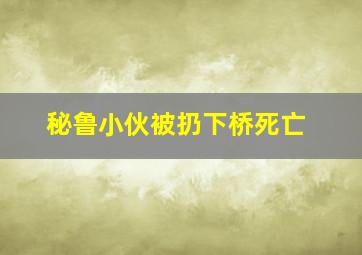 秘鲁小伙被扔下桥死亡