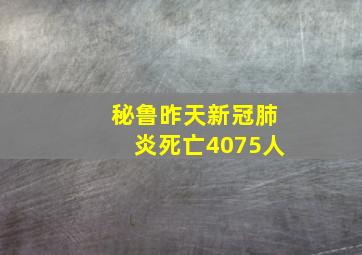 秘鲁昨天新冠肺炎死亡4075人