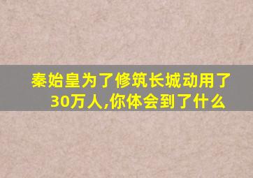 秦始皇为了修筑长城动用了30万人,你体会到了什么