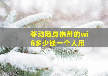 移动随身携带的wifi多少钱一个人用