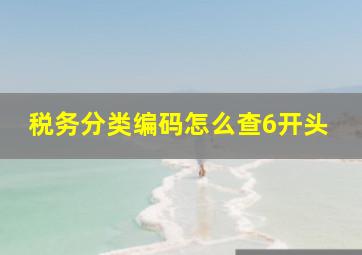 税务分类编码怎么查6开头