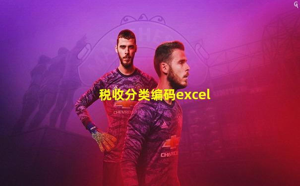 税收分类编码excel
