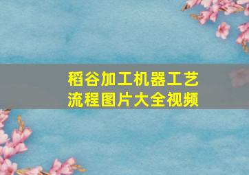 稻谷加工机器工艺流程图片大全视频