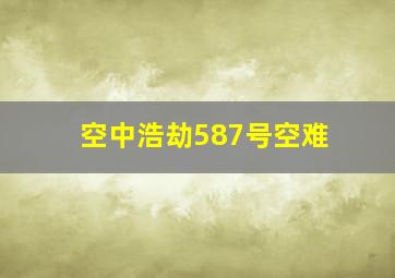 空中浩劫587号空难