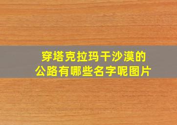 穿塔克拉玛干沙漠的公路有哪些名字呢图片