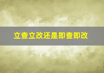 立查立改还是即查即改