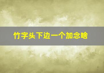 竹字头下边一个加念啥