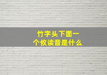 竹字头下面一个攸读音是什么