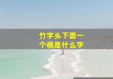 竹字头下面一个横是什么字