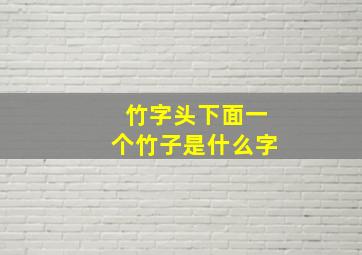 竹字头下面一个竹子是什么字