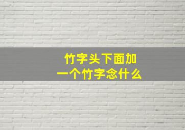 竹字头下面加一个竹字念什么