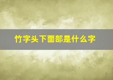 竹字头下面部是什么字