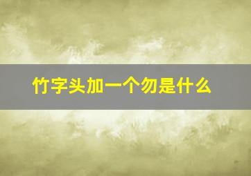 竹字头加一个勿是什么