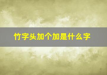 竹字头加个加是什么字