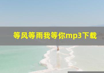 等风等雨我等你mp3下载