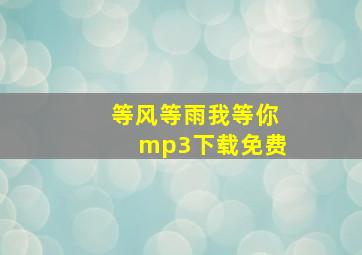 等风等雨我等你mp3下载免费