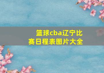 篮球cba辽宁比赛日程表图片大全