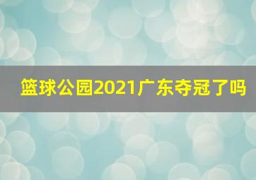 篮球公园2021广东夺冠了吗