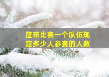 篮球比赛一个队伍规定多少人参赛的人数