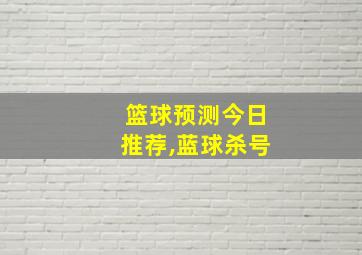 篮球预测今日推荐,蓝球杀号